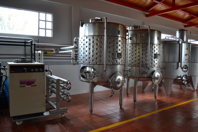 cave-MOULINET-min_wine_production_cantine_winery_drink_alcohol_vine_beverage-902036